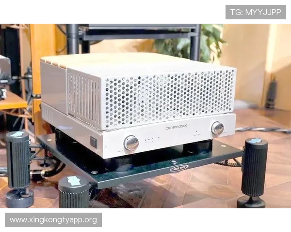 欧博222胆前级的配套设备推荐，打造完整高品质音响系统体验